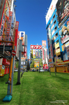 akiba.jpg