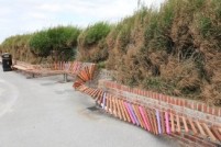 longest bench.jpg
